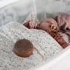 Membantu Garsiakalbis su garsais białych szumów Echo - jasnobrązowy