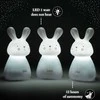 Olala Boutique 3 LED lovos lempų rinkinys „Olala“ - zuikis, lengvas kelias