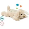 CLOUD B migdukas projektorius Dream Puppy
