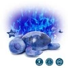 Cloud B Tranquil Turtle violetinė