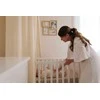 Home Styling Collection PETTIT ARTCHAUT DĖLIONĖS RĖMELIS SPAUDAI IR NUOTRAUKAI PLANT 3700552370824