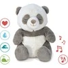Cloud B Rūdri panda su muzikos dėžute