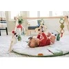 Tiny Love Boho Chic Eko Box ruda
