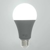 RSH 104 A60 E27 bulb 14W RGB CCT RETLUX