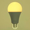 RSH 104 A60 E27 bulb 14W RGB CCT RETLUX