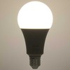 RLL 663 A80 E27 lemputė 20W CW D RETLUX
