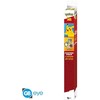 Plakatas Abysse POKEMON – 2 plakatų rinkinys – spalvingi personažai (52 x 38)