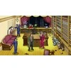 Capcom Ace Attorney Investigations kolekcija – PlayStation 4