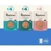 Applaws - Multipack žuvis Jelly Selection - 12x70g