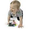 Baby Einstein - Zen Oball transporto priemonė - (BE-16772)