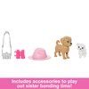 Mattel Barbie - Stacie &amp; Barbie Doll Set With 2 Pets (HRM09)