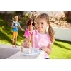 Lėlė banglentininkė Barbie HPL69, su priedais