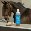 Biofarmab Arnika Liniment Gel - 500ml