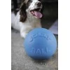 Jolly Pets – Kamuolių pritūpimų žaislas 20 cm mažylė Mėlyna (Mėlyna su uogų kvapu) – (JOLL068JM)