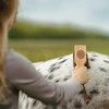 Borstiq Farm BORSTIQ – Islandijos arklių baseinas