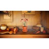 Soft Source Botanikos dvaras (Nintendo Switch)