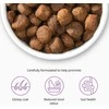„catit“ – „Catit Recipes“ aukščiausios kokybės sausas ėdalas katėms – suaugusioms, laikomoms patalpose – 2kg