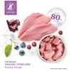 „catit“ – „Catit Recipes“ aukščiausios kokybės sausas ėdalas katėms – suaugusioms, laikomoms patalpose – 2kg
