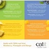 Catit - kreminių puodelių putėsių mišinio pakuotė - 4 x 25 g