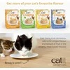 Catit - kreminių puodelių putėsių mišinio pakuotė - 4 x 25 g
