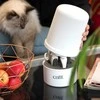 CATIT – trumpų plaukų priežiūros rinkinys – (730.0360)