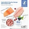 Catit - Receptai Premium sausas kačių maistas - suaugusioms žuvims - 400 gramų