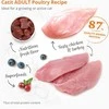 Catit - Recipes Premium Dry Food for Cats - Adult paukštiena - 2kg