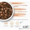 Catit - Recipes Premium Dry Food for Cats - Adult paukštiena - 2kg