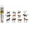 COLLECTA arklių rinkinys Mini, A1109