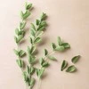 Creative Toys „Pasidaryk pats“ rinkinys – krepinis popierius (209003)