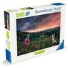 Ravensburger Dėlionė 1000 vnt. - Audra