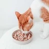 District70 – bambuko kačių lėtas tiektuvas, Ø 13,5 cm Merengue – (WA6962)