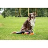 Dog Comets - Comet Launcher - Bazooka - 61 cm x 18 cm