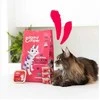 Edgard Cooper – Cat Senior Dryfood – Vištiena/Kalakutiena – 2kg