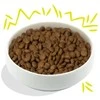 Edgard Cooper – traški morka ir cukinija 2,5kg – (540700714917)
