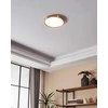 EGLO - Fueva-Z lubinis šviestuvas šlifuotas plienas Ø28.5 - TW - Zigbee, Bluetooth