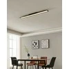 EGLO – Salobrena-Z juodas skydelis 120x10 – TW – Zigbee, Bluetooth