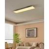 EGLO – Salobrena-Z skydelis baltas 120x30 – TW – Zigbee, Bluetooth