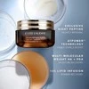 Estée Lauder Advanced Night Repair Overnight Treatment Night Sealing Treatment, 65 ml