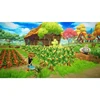 Galaxy Games Everdream slėnis – Nintendo jungiklis