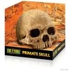 Exo Terra EXOTERRA - Cave Skull - (222.2055)