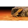 Hagen Fluval Exo Terra uola reptilijoms XL