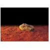 EXOTERRA – šildomas akmuo S 15,5X10Cm 5W – (225,2000)