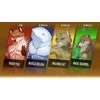 Soft Source Gyvūnų kova: Arena – „Nintendo Switch“