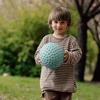 Find that hippo - Large sensory ball - Weldon Mėlyna (53100501)