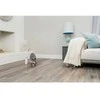 PetSafe Flamingo - Bolt Automatic lazerinis žaislas