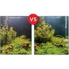 Fluval – Bio Co2 Set 125L – (141.8930)