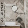 Sieninis veidrodis Gillian Jones