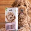 „Greenfields“ labradoodle priežiūros rinkinys 2 x 250 ml (WA4674)