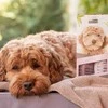 „Greenfields“ labradoodle priežiūros rinkinys 2 x 250 ml (WA4674)